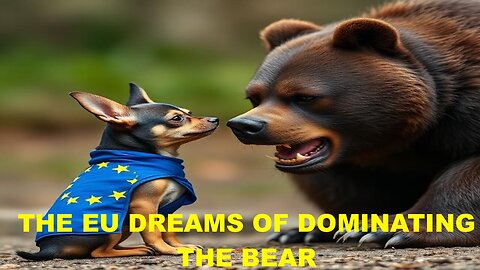 WHY DO EU LDRS CLAIM UKRAINE IS WINNING, RUSSIA IS GOING BROKE, & NATO IS MORE UNITED THAN EVER ?