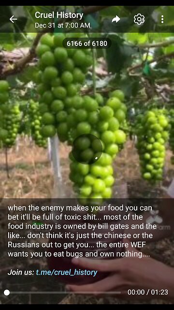 Documentary: Unhealthy Hormone Grapes