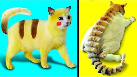 Abnormally Strange Cats That Actually Exist