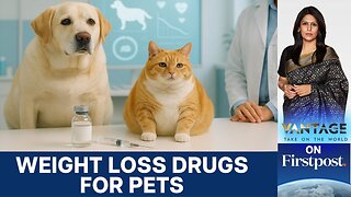 Ozempic for Pets? Inside the Global Rise of Pet Cat and Dog Obesity | Vantage With Palki Sharma