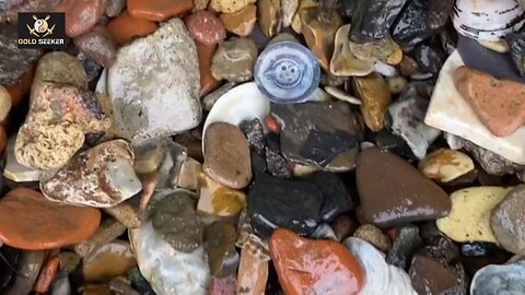 Witness the discovery of the magical treasure#usavideos#trdingvideos