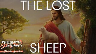 The Lost Sheep | Perspectives of The Prophetic