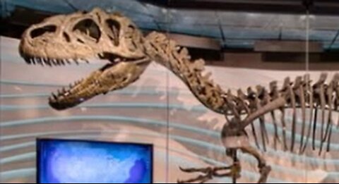 Allosaurus fossil on fb