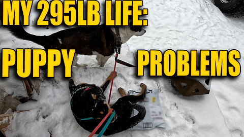 Puppy Problems! My 295LB Life: Ep.52