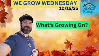 We Grow Wednesday 10/15/25, Neck Swing, Hanging Kitchen, Tooth Whitening, Fig Juice & More. Letsgrw