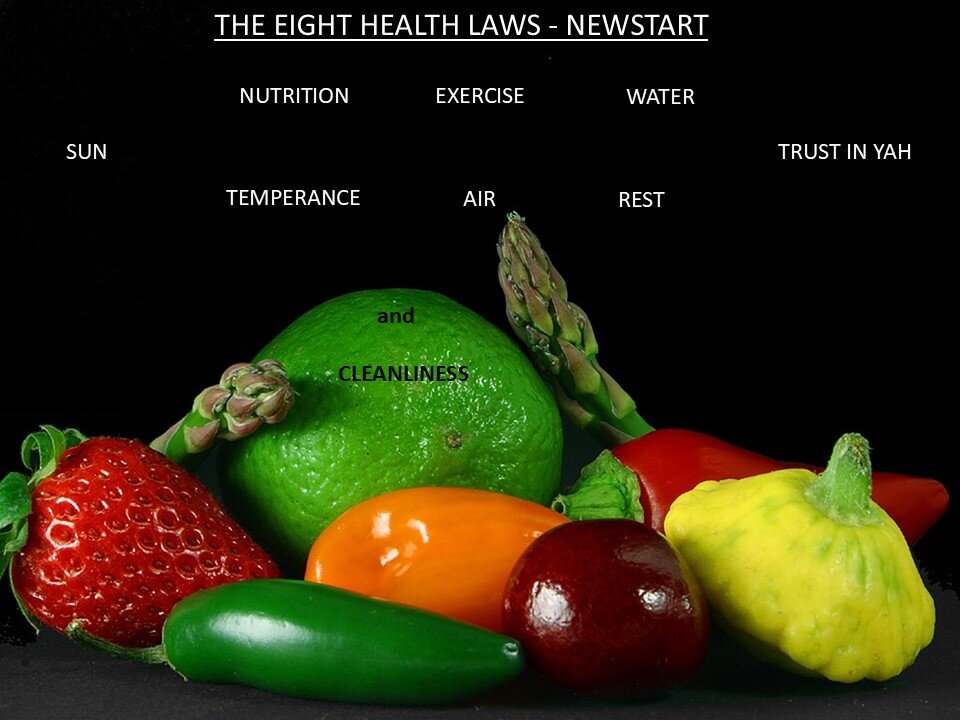 THE EIGHT HEALTH LAWS-NEWSTART_PART THREE
