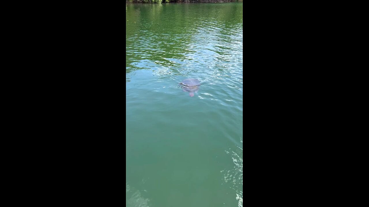 Made a friend at Zoo Miami