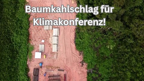 Baumkahlschlag für eine Klimakonferenz!😳🙈
