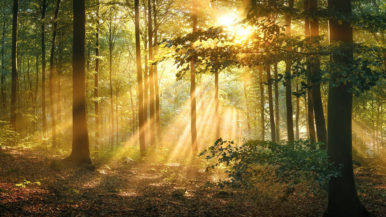 3-2-25 Meditation: Expanding Your Christ Light Through Choice with Lord Yeshua