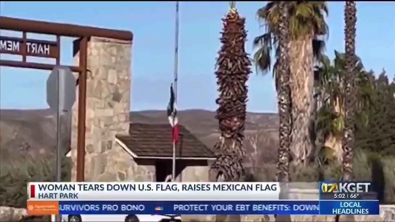 This lady here was arrested at Hart Memorial Park for removing the U.S. flag with a Mexican flag