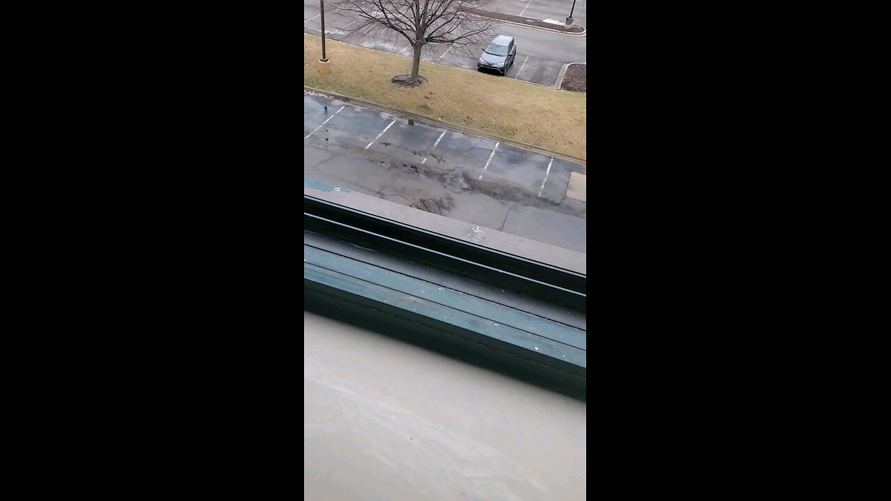 Cops