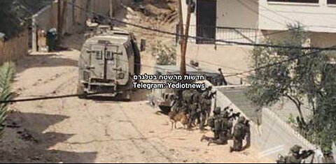 IDF Activity Documentation: According to Palestinian reports: The IDF has been