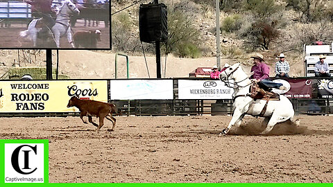 Tie-down Roping - Legends of the West Rodeo | Saturday 2025