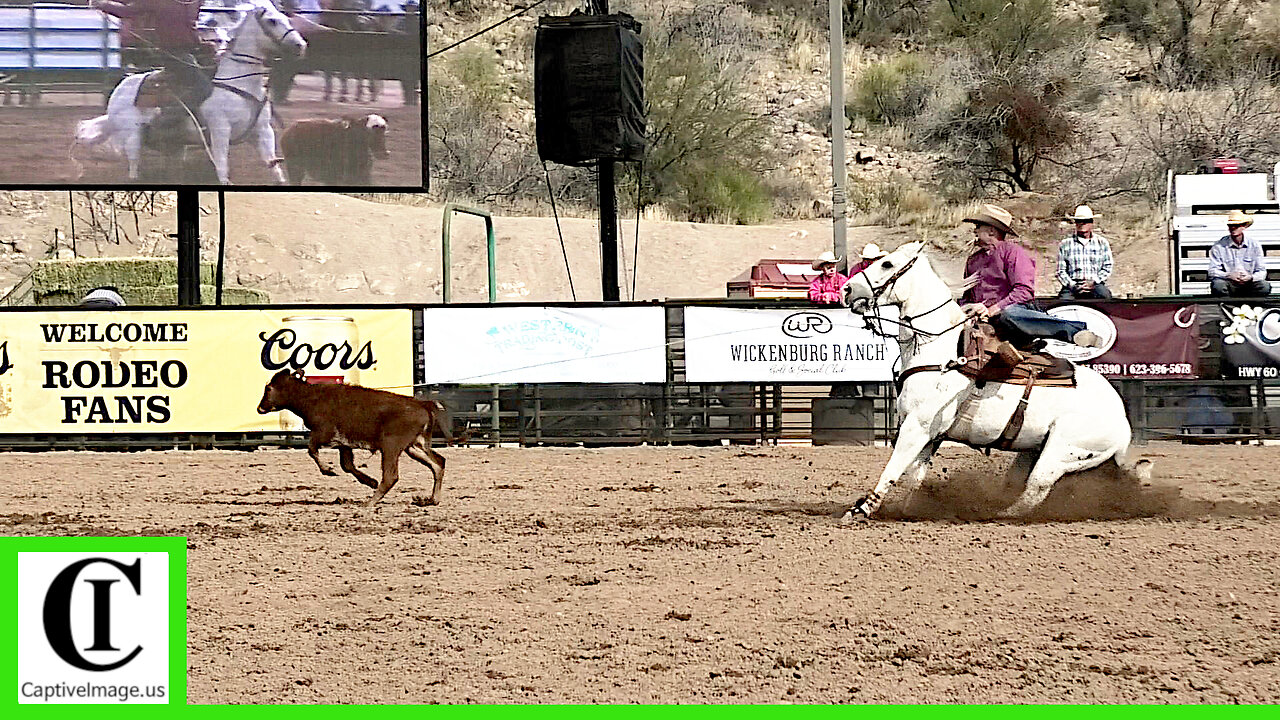 Tie-down Roping - Legends of the West Rodeo | Saturday 2025