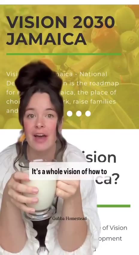 🚨 VISION 2030 JAMAICA 🌪️