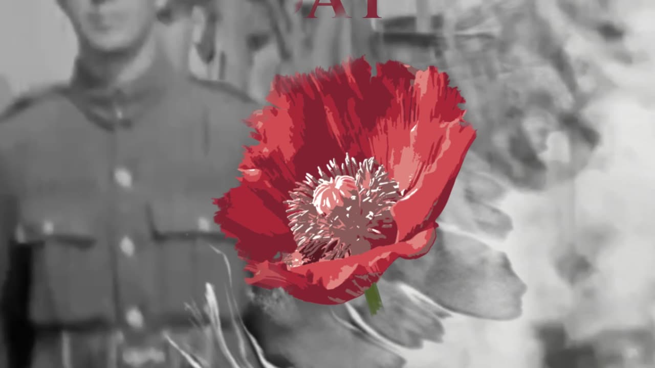 Freedom isn't free: Message for Remembrance Day 2025