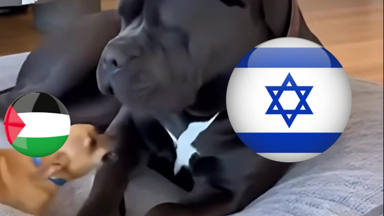 Palestinian versus Israel