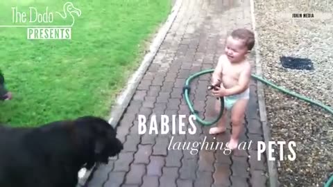 Baby Laughing Funny kids