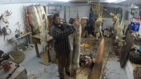 How To - Turning Coyotes