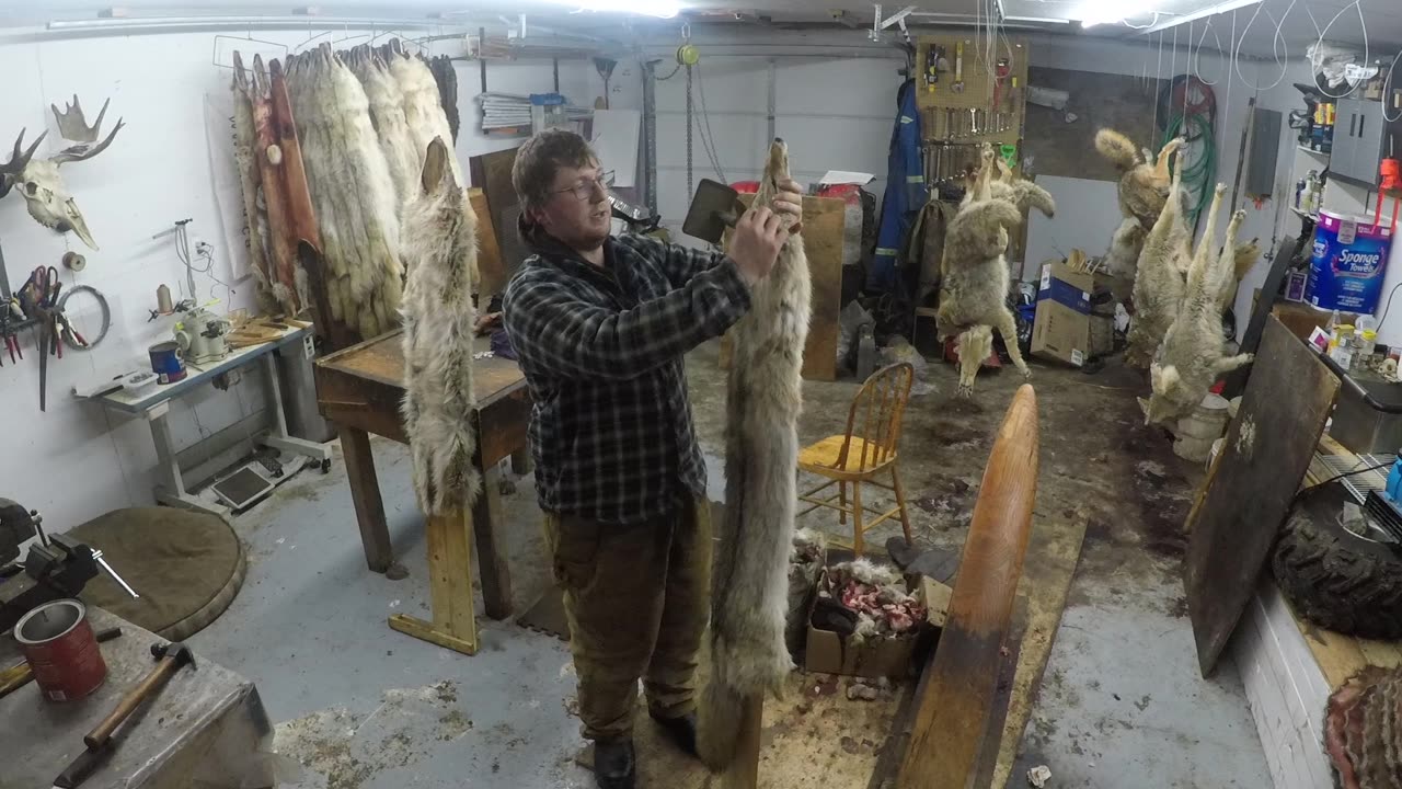 How To - Turning Coyotes