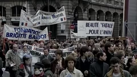 Brigitte Bardot, France's 'legend of the century', has died