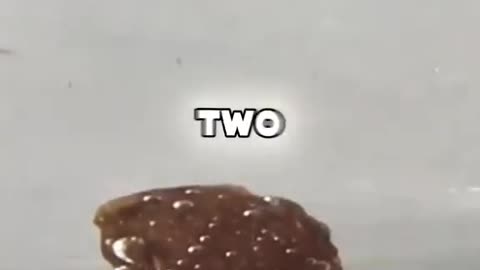 Feeling Weak or Dizzy Here’s How to Boost Your Blood Levels Naturally