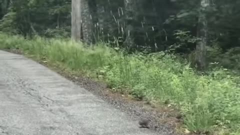 👻✨ Paranormal Chaos: Extended Footage of Unseen Forces | TheHauntingHour