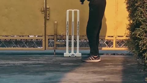 Backyard cricket highlights 🏏