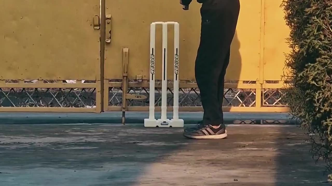 Backyard cricket highlights 🏏