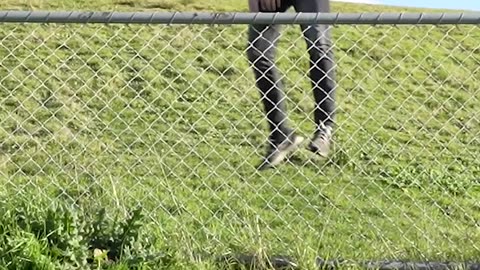 How animals get over a fence