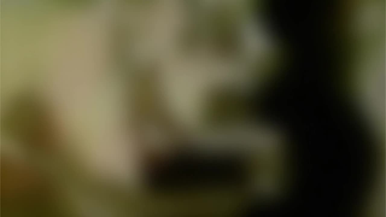 WAV - Heavy Low Moved Electro