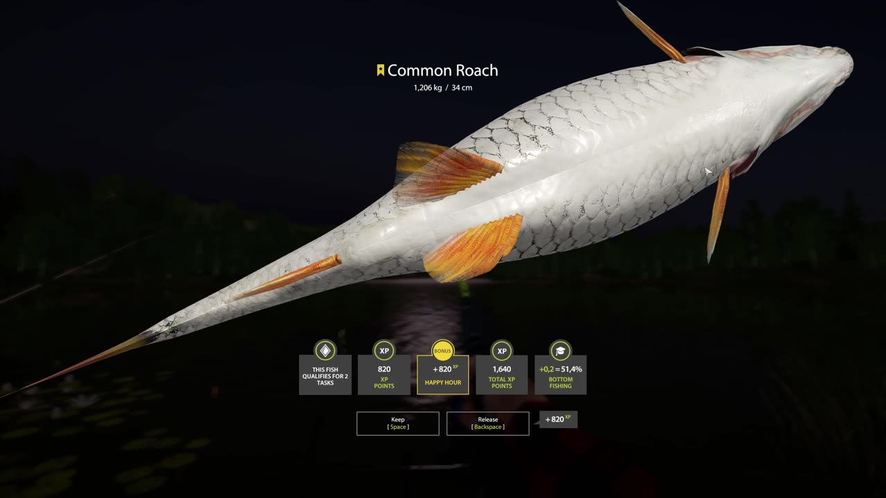 Trophy Common ROACH, Mosquito Lake, Russian Fishing 4 PC GAME