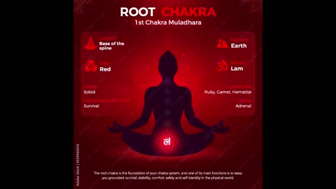 Rooted in Peace