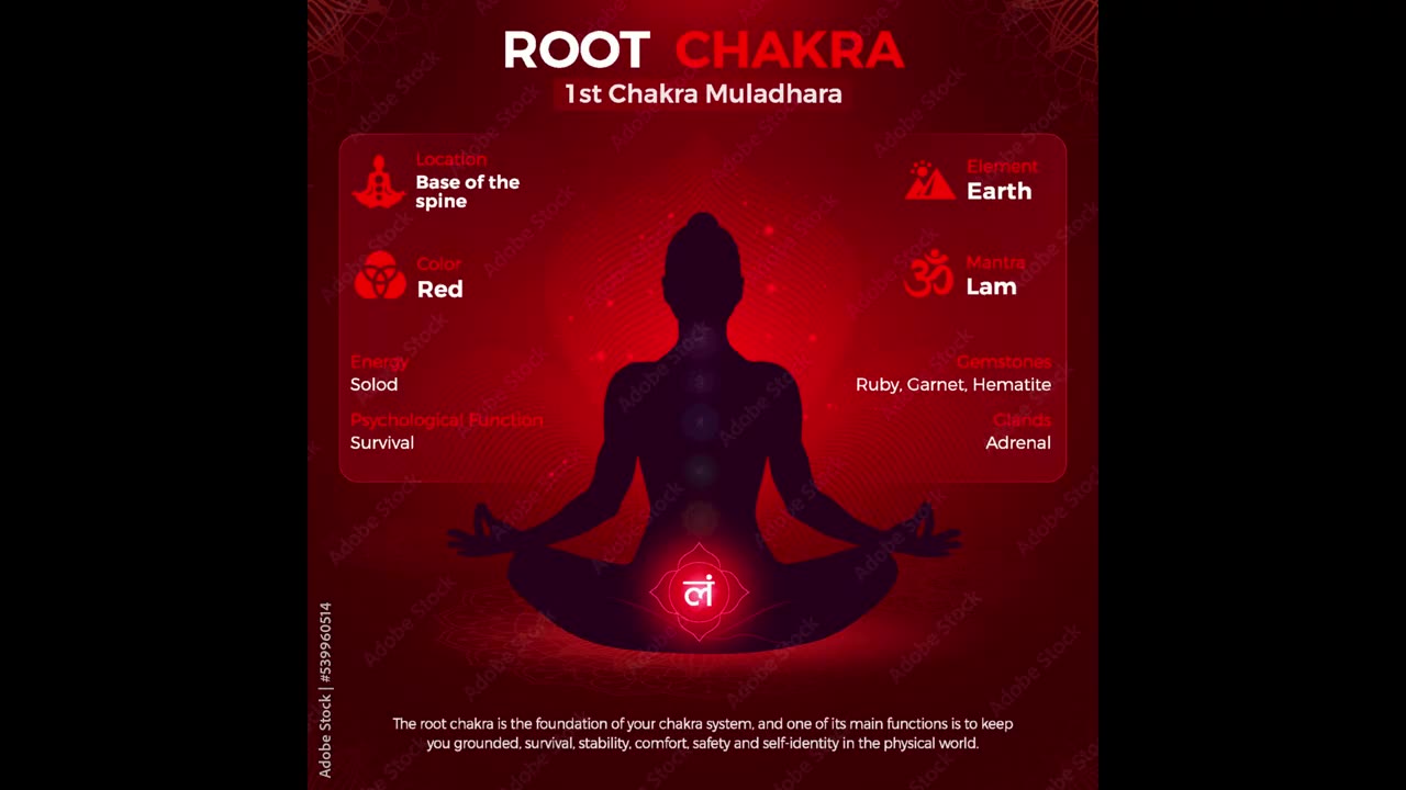 Rooted in Peace