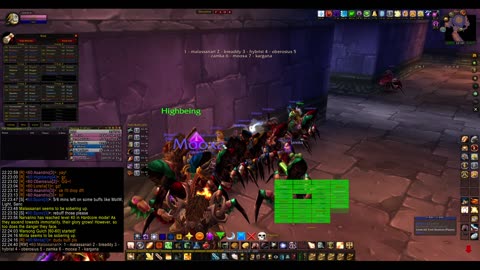 Turtle Wow - MM weekly AQ40 - 25 February - paladin POV