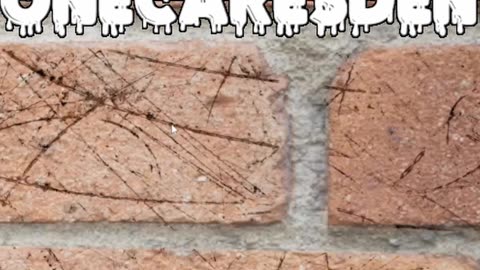 Poland's Wild Putin Challenge: Slavic Bloodbath 2.0 on Deck?