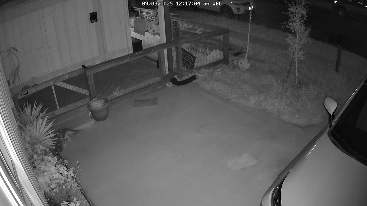 😱🚗 Home Security Video: Ghostly Figure Near Car | TheHauntingHour