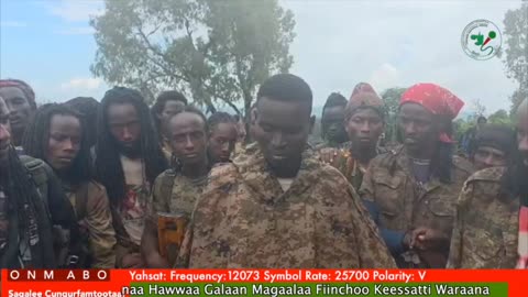 Gabaasa Addaa ONM-ABO Onkoloolessa 19-2025 itti dhiyaadhaa!