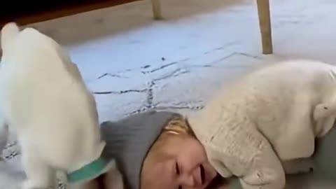 Two beautiful little playful babies