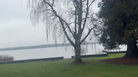 #SeattleTrip #DayOne 2-22-24