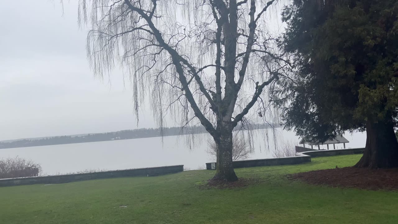 #SeattleTrip #DayOne 2-22-24