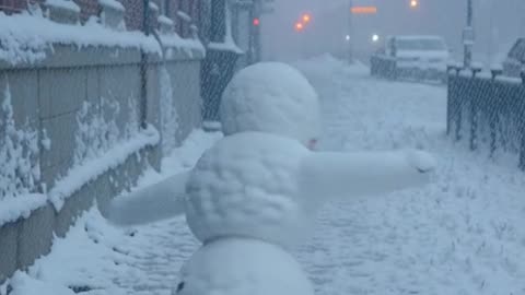 Surviving the Bronx: Subways and Forgotten Food