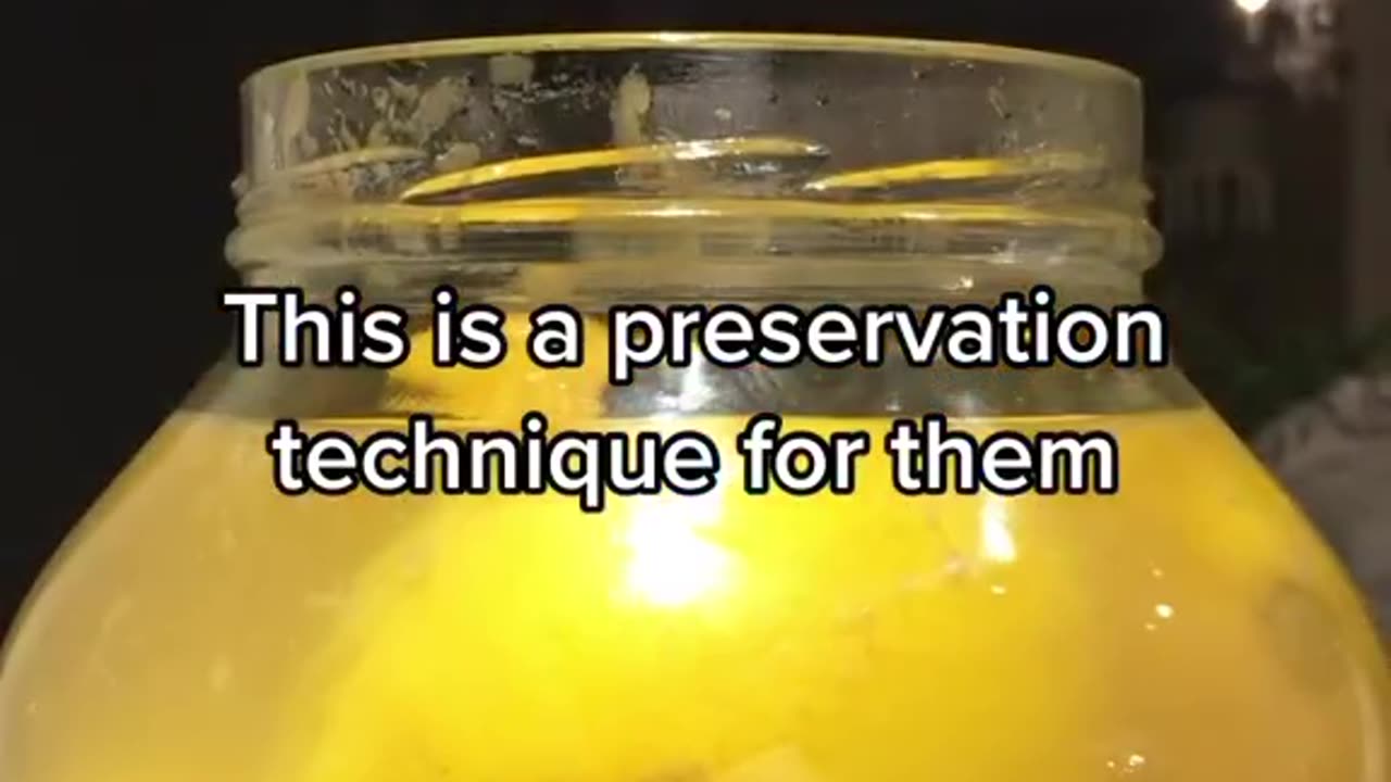 Preserve your lemons