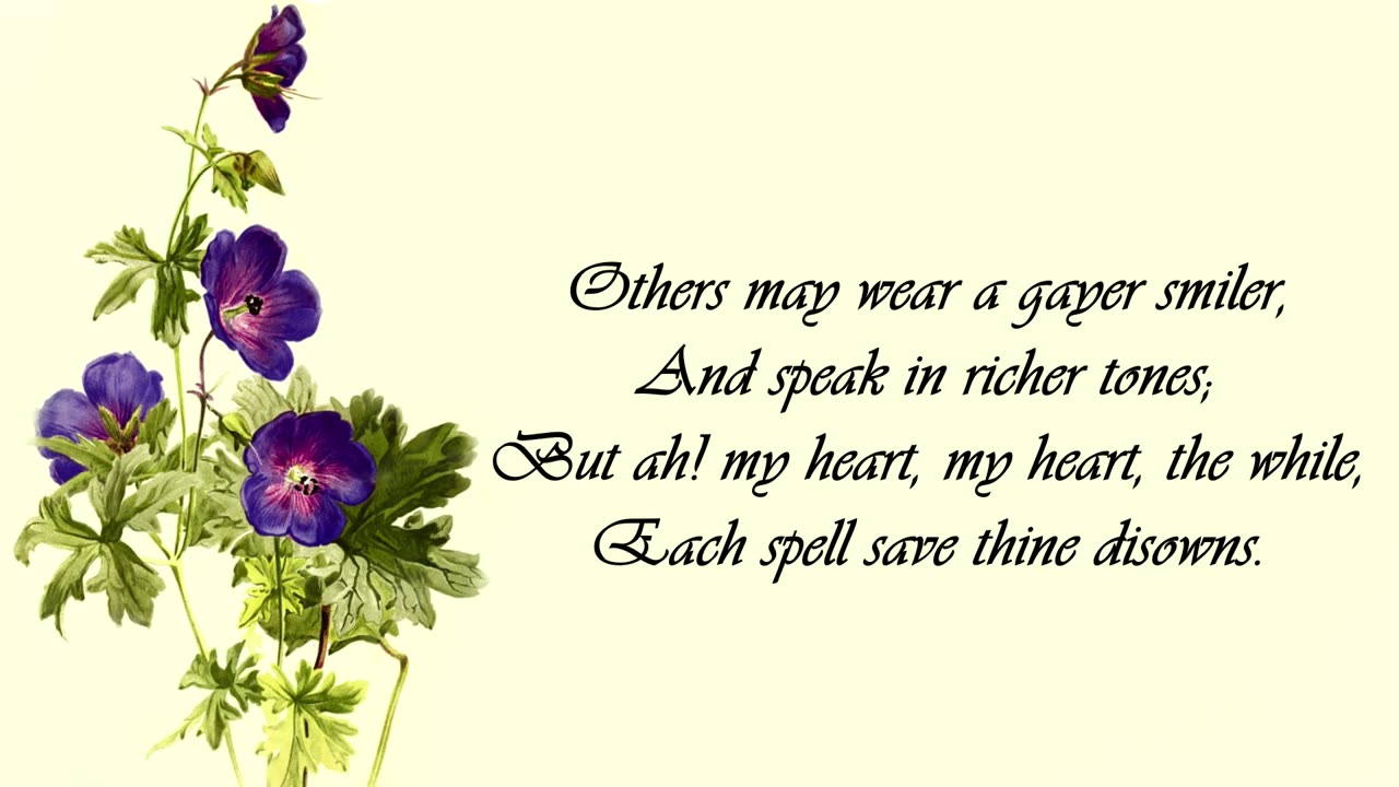 Geranium, Scented. - The Language of Flowers