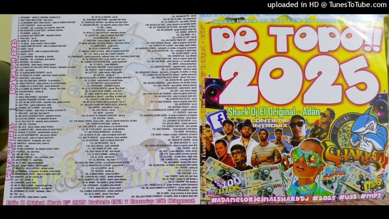 SHARK DJ - INTROMIX DE TODO 2025!!!
