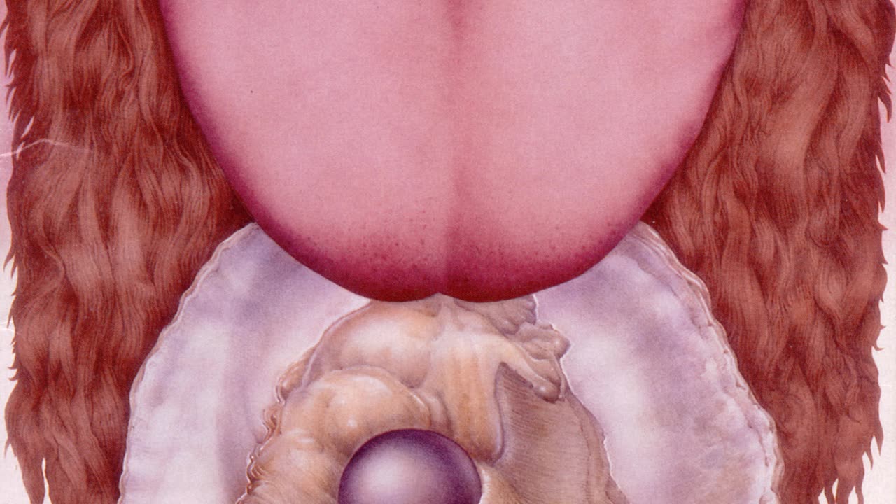 Gentle Giant- Scraping the Barrel 2004