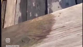 😱🏊‍♂️ The Most Epic Diving Fail Ever! | FunFM