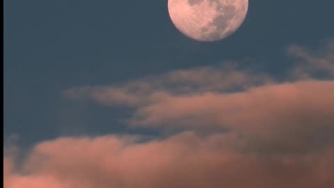 Daily Horoscope | Sagittarius 🌟