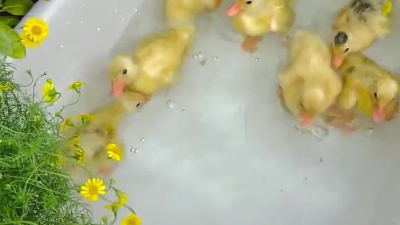 Among the most important things I've ever seen 😍