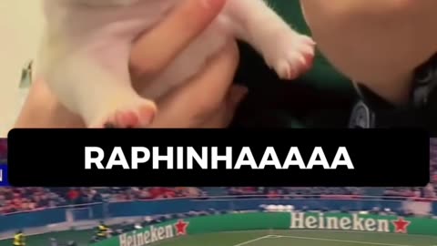 Raphinhaa🐶😂